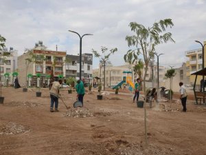 Haliliye’de ağaçlar toprakla buluşuyor
