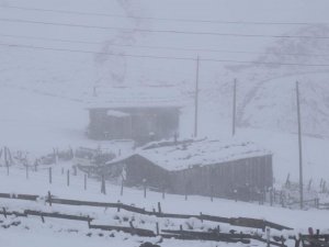 Doğu Karadeniz’in yüksek kesimlerinde kar kalınlığı 30 santimetreyi buldu