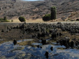 Van Gölü’nün suyu çekildi binlerce yıllık mikrobiyalitler gün yüzüne çıktı