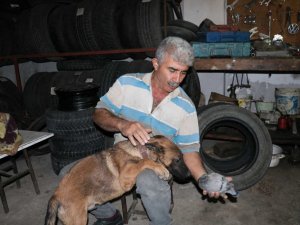 Yavru güvercin ile köpeğin dostluğu yürekleri ısıttı