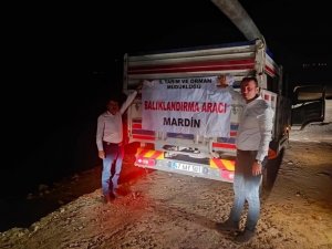 Mardin’de göletlere 918 bin yavru sazan balığı bırakıldı