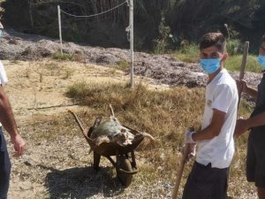 Ağzında poşetle kıyıya vurdu