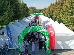 Sanata hayat veren eller festivali