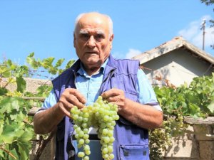 Bu sayede pazar ve markete gitmiyor