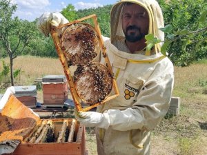1 kovan ile hobi olarak başladığı arıcılıkta kovan sayısını 50’ye çıkardı