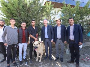 Çoban köpekleri İnegöl’de yarıştı