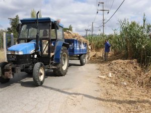 Nazilli Belediyesi’nden temizlik atağı