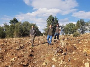 Müdür Keskin: “Ormanlarımızı yarınlara sağlıkla taşımak bizim en önemli görevimiz”