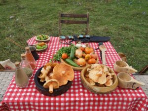 Son 15 günde 35 kişi yedikleri mantardan zehirlendi