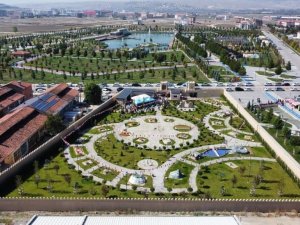 Çorumminia sahip olduğu bitki çeşidiyle adeta botanik bir bahçeyi andırıyor