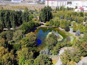 Erzurum sonbaharın renklerine büründü