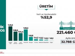 Yerli ve yenilenebilir kaynakların üretimdeki payı yüzde 52.9 oldu