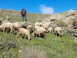 Aydın’da eski hükümlüler patron oldu