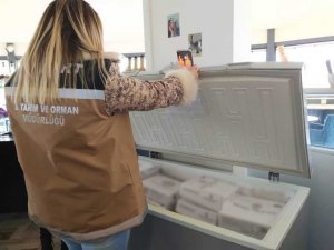 Bayburt’ta Tarım ve Orman Müdürlüğü ekiplerinden gıda denetimi