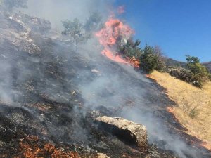 Tunceli’de çıkan yangın kontrol altına alındı