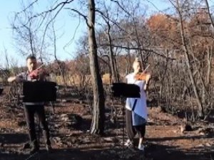 Küle dönen ormanda keman konseri