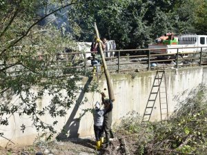 Dere içerisindeki ağaçlar sel ve taşkın riskine karşı kesildi