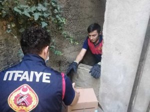 Yaralı kedinin imdadına itfaiye yetişti