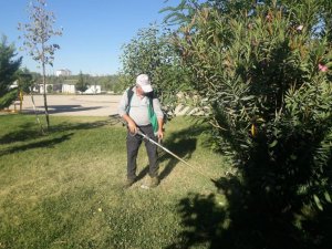Yeşil alanlarda bakım ve onarım yapıldı