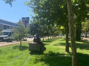 Elazığ Belediyesi çim biçme çalışmalarını aralıksız sürdürüyor