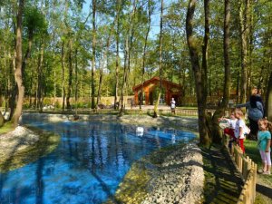 Ormanya, Türkiye’nin markası oldu