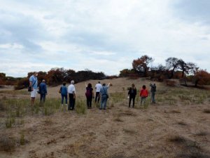 Kent Konseyi’nden Lara Kumul Ormanı’nın koruma statüsünün değiştirilmesi talebi