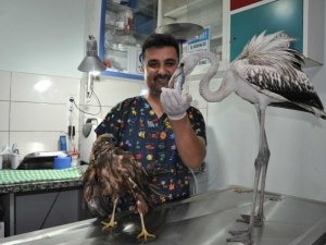 Mersin’de kuşlara yardım seferberliği