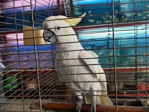 Yaşını duyanlar şaşırıyor