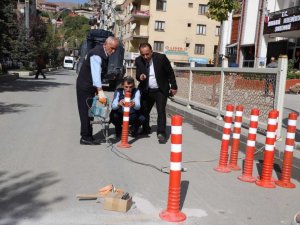 Hakkari Belediyesinden duba çalışması