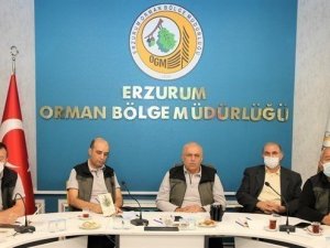 Erzurum Orman Bölge Müdürlüğünde Biyolojik Çeşitliliğin Orman Amenajman Planlarına Entegrasyonu Çalıştayı ve Bilgilendirme Toplantısı Yapıldı