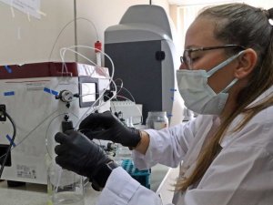 Covid-19’a karşı bitkiden üretilen ’kokteyl aşı’ insan deneyine hazır hale geldi