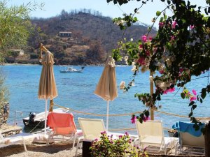 Muğla’daki yangının ardından yaralar sarılmaya devam ediyor