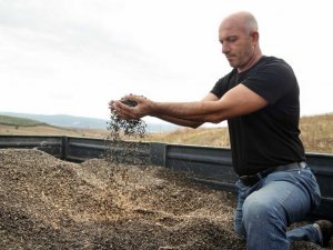 Bu hasadın ürünleri ihtiyaç sahiplerine ulaştırılacak