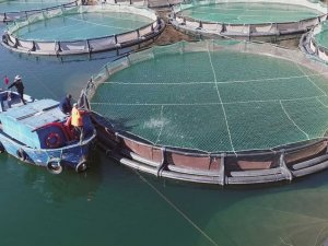 Muğla Ağustos ayında 67 milyon 618 bin TL ihracat yaptı