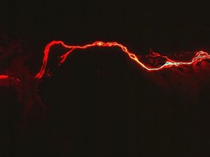 İspanya’da yanardağdan çıkan lavlar 338 hektarlık alana yayıldı