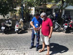 Vektörle mücadele devam ediyor