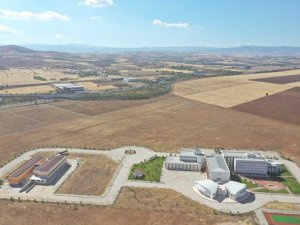 Elazığ’da 100 hektarlık alanda 46 bin adet fidan dikilecek