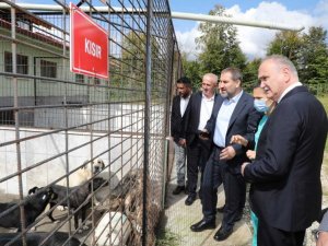 Özlü’nün projelerine tam puan