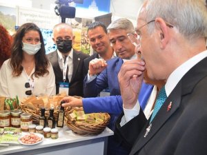 Marmaris’in yer fıstığına yoğun ilgi