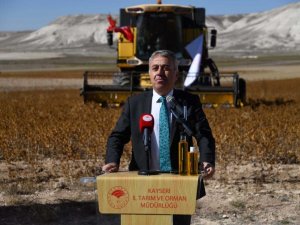 Kayseri’de aspir hasadı başladı