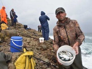 Hamsilos balıkçıların da gözdesi