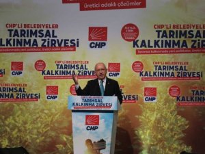 Tarımsal Kalkınma Zirvesi’nde Büyükçekmece standına ilgi yoğun oldu