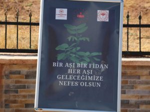 Tunceli’de ilk doz aşısını yaptıranlar için fidan dikilecek