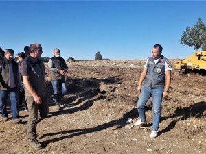 Kütahya’da ormanların gençleştirilmesi çalışmaları