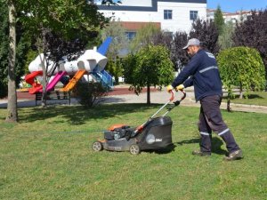 Yeşil alanların temizlik ve bakım çalışmaları