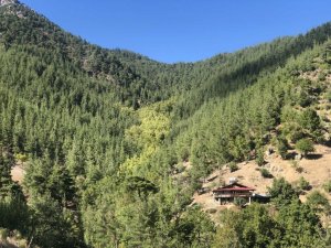 Toroslar’da sonbahar manzaraları görsel şölen oluşturuyor