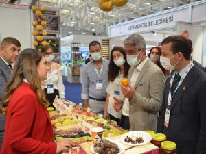 Başkan Oktay: "Turizmle tarımı entegre edeceğiz"