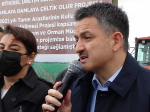Bakan Pakdemirli Çanakkale’de damla sulamayla yetiştirilen çeltik hasadına katıldı