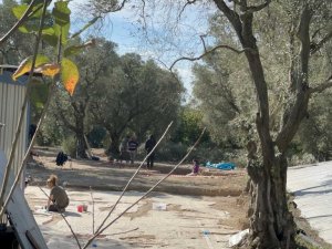 İznik’te sit alanı ilan edilen zeytinlikte lahit bulundu