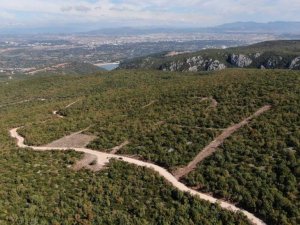 Nilüfer’de sokak hayvanlarının barınacağı ‘Doğal Yaşam Alanı’ projesi start aldı